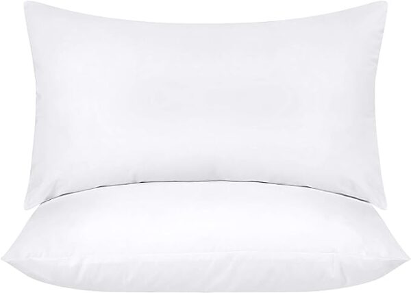 Utopia Bedding Throw Pillows Insert (Pack of 2, White)