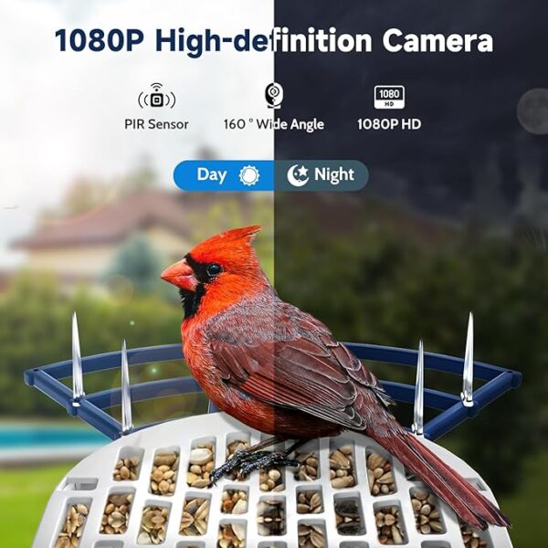 Smart Bird Feeder with Camera - Image 5