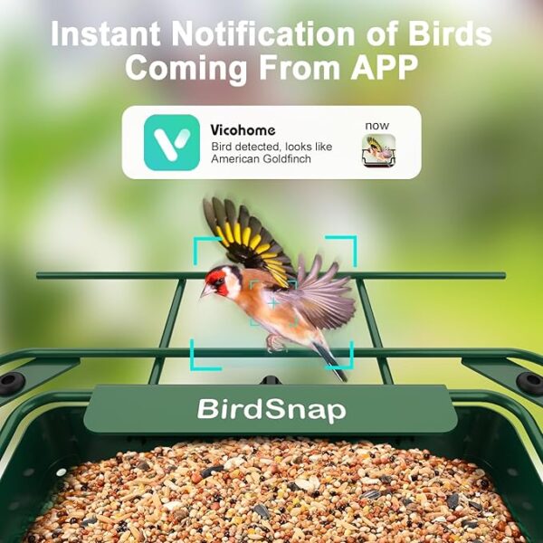 birdsnap - Image 7