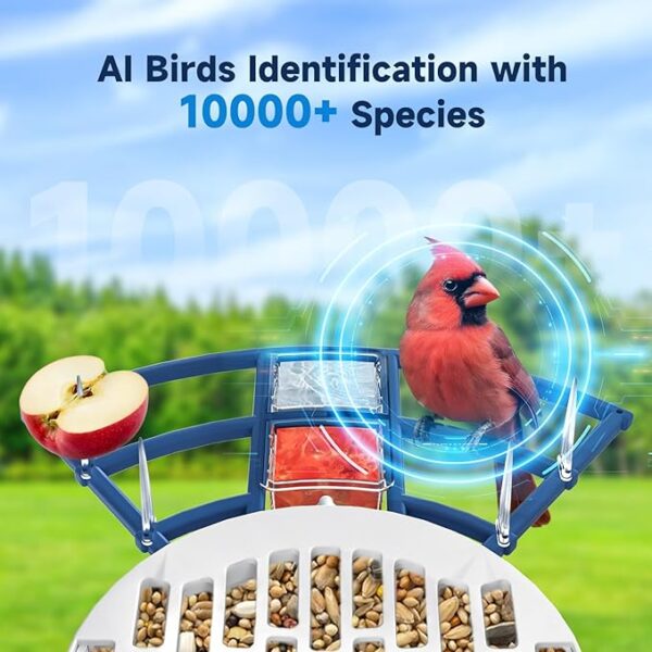 Smart Bird Feeder with Camera - Image 7