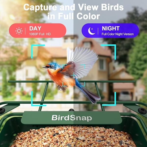 birdsnap - Image 4