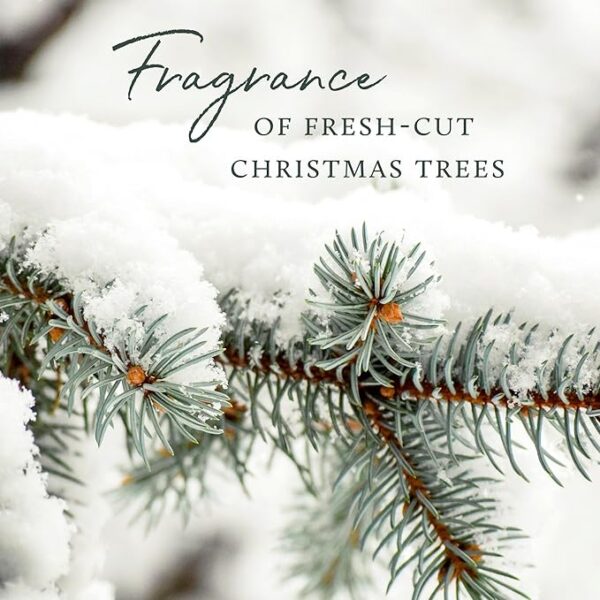 Thymes Frasier Fir Pine Needle Votive Candle - Image 2