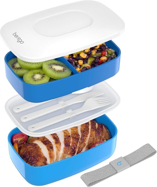 Adult Bento Box