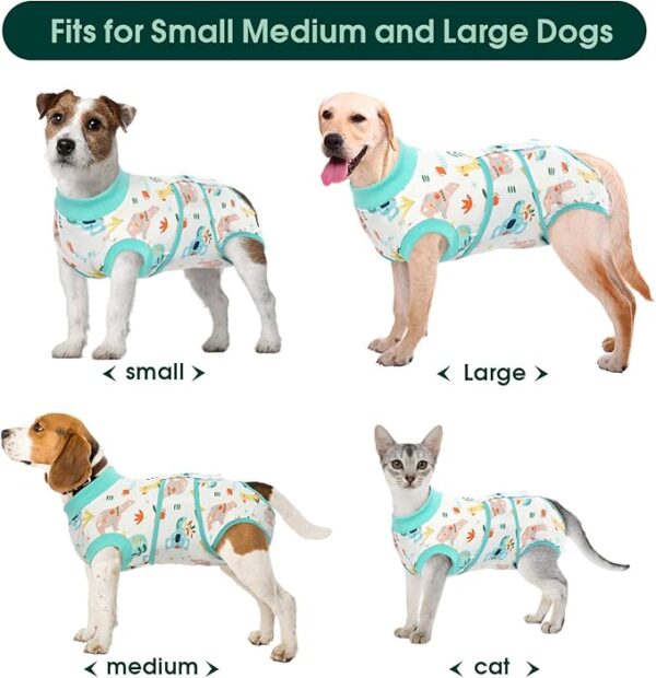 Kuoser Recovery Suit for Dogs Cats After Surgery